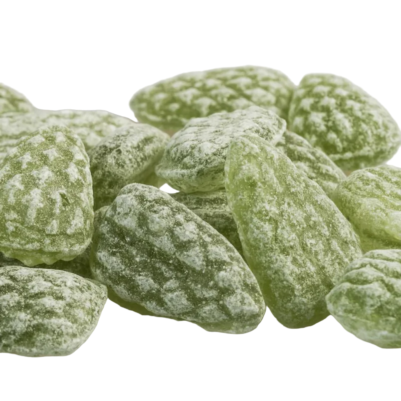 Bonbons à L'EUCALYPTUS - Boîte de poche Rouen 50g