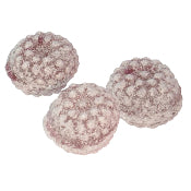 Bonbons LAVANDE Boîte Métal 150g