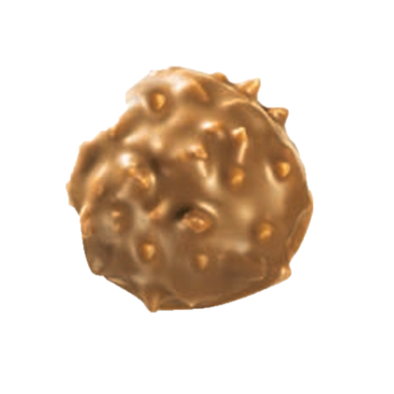 Sachet de Rochers Praliné Noisette Chocolat Blond 100g