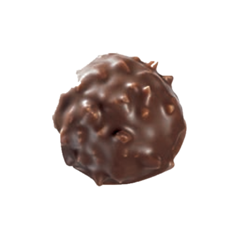 Sachet de Rochers Praliné Noisette Chocolat Lait 100g