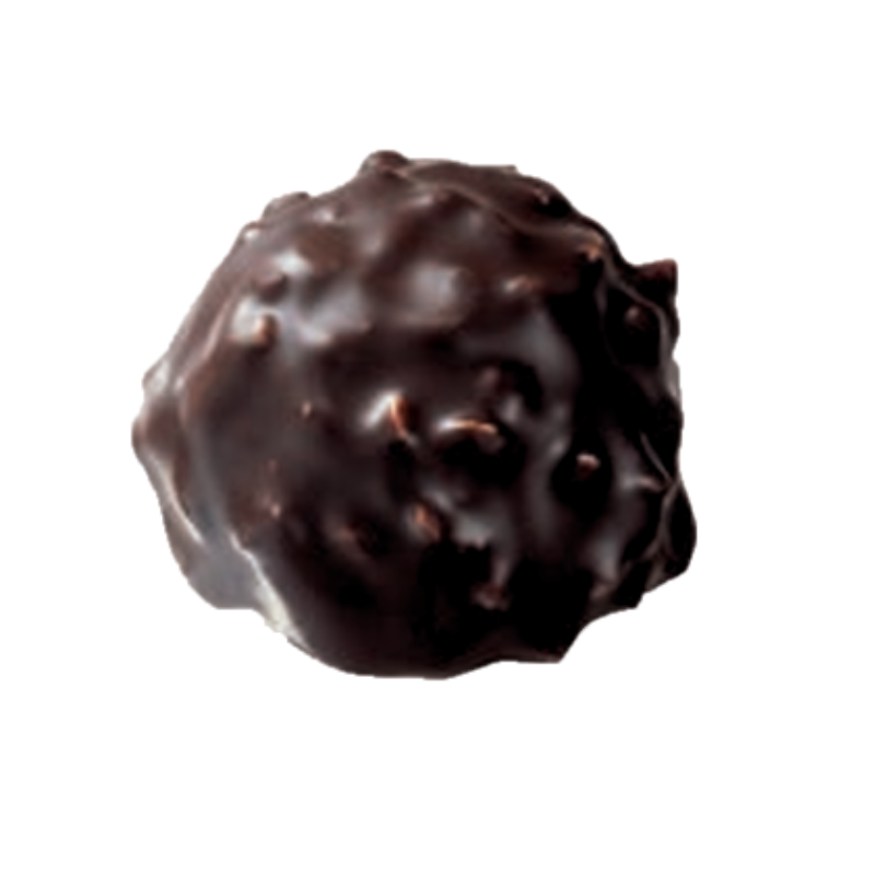 Sachet de Rochers Praliné Noisette Chocolat Noir 100g