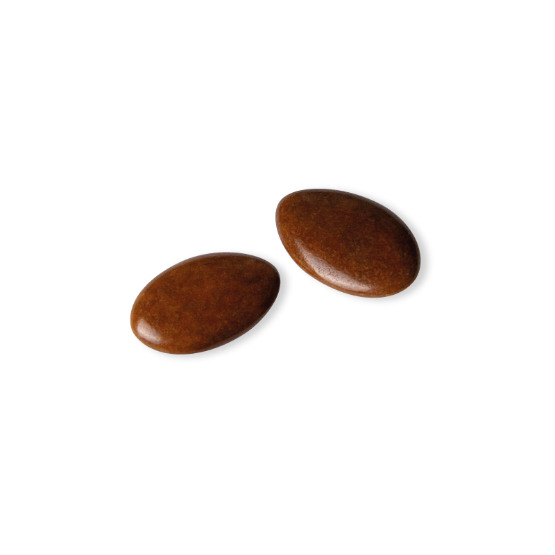 Dragée chocolat Décor Châtaigne