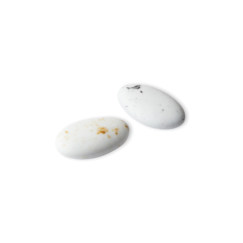 Dragée chocolat Velour Océane