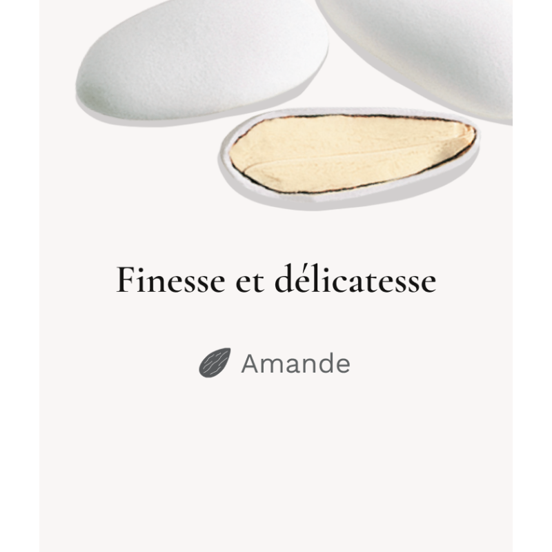 Dragées Amandes Finesse Extrême Lerida Blanc 250g