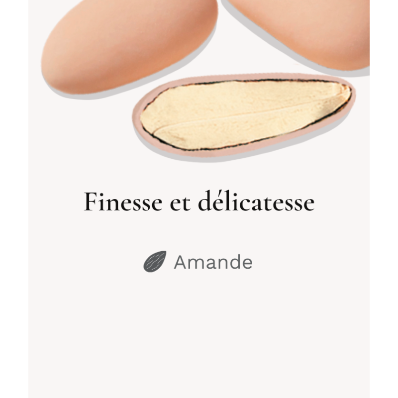 Dragées Amandes Finesse Extrême Lerida Pêche 250g