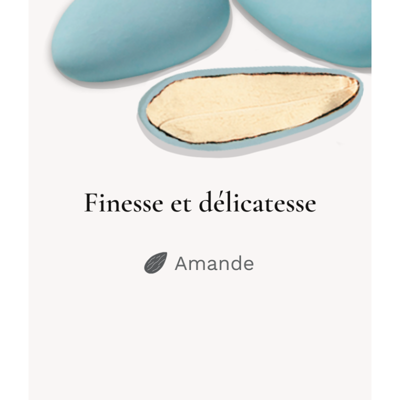Dragées Amandes Finesse Extrême Lerida Bleu 250g